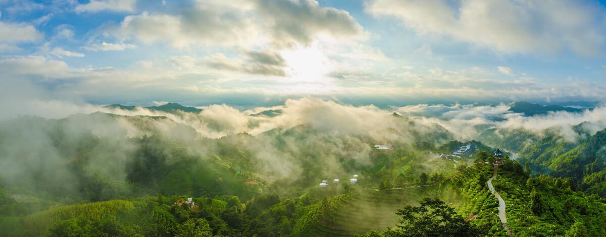 茶山什么时候可以看到云海？温州茶山区天气情况