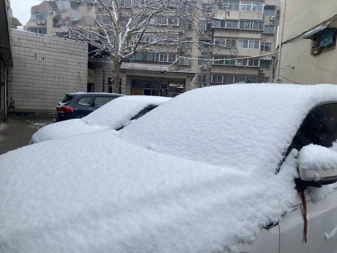 下雪后会出太阳吗?天气情况有雪吗-图3 下雪后会出太阳吗?天气情况有雪吗-图3