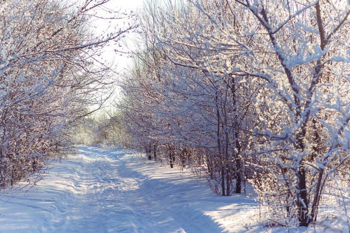 下雪后会出太阳吗?天气情况有雪吗-图2 下雪后会出太阳吗?天气情况有雪吗-图2