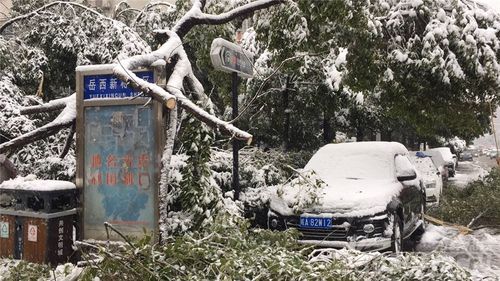 2021年冬天合肥会有大雪吗?合肥冬天的天气情况-图3 2021年冬天合肥会有大雪吗?合肥冬天的天气情况-图3
