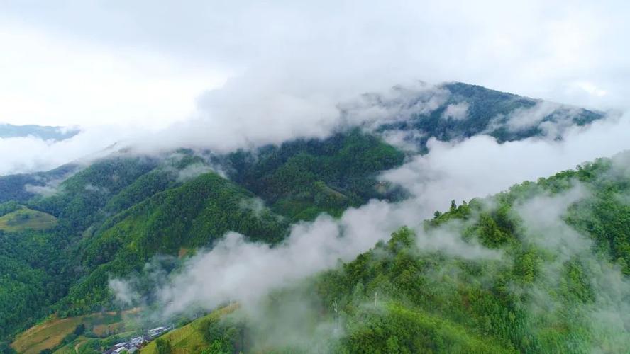 请问云南省有个澜沧县属于哪个市?云南澜沧县天气情况-图3 请问云南省有个澜沧县属于哪个市?云南澜沧县天气情况-图3