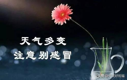 女生发朋友圈冬天青山依旧?青山区天气情况-图1 女生发朋友圈冬天青山依旧?青山区天气情况-图1