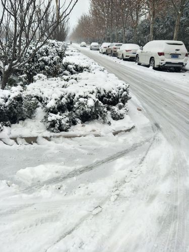 下大雪快递还正常走件吗?天气情况对路况影响-图3 下大雪快递还正常走件吗?天气情况对路况影响-图3