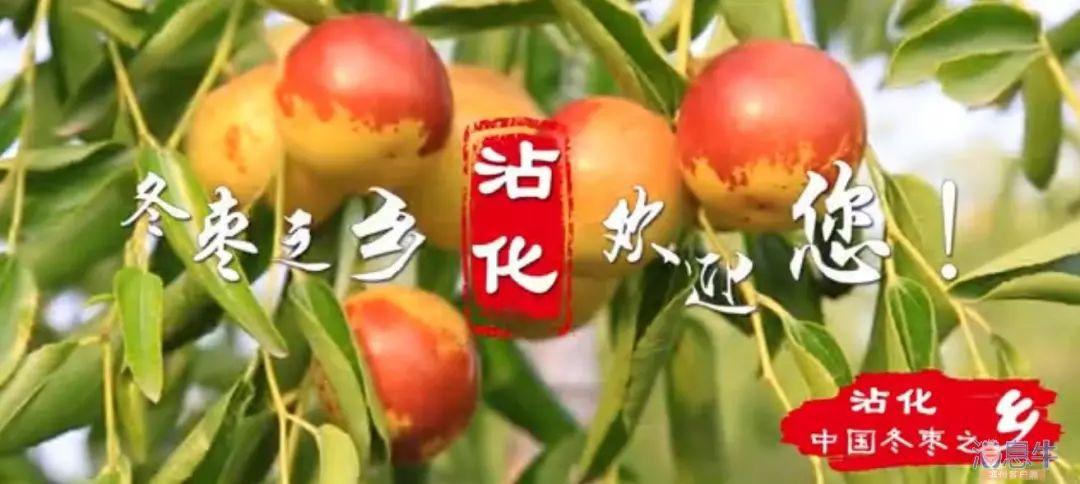 大荔冬枣和沾化冬枣区别？渭南大荔历史天气情况