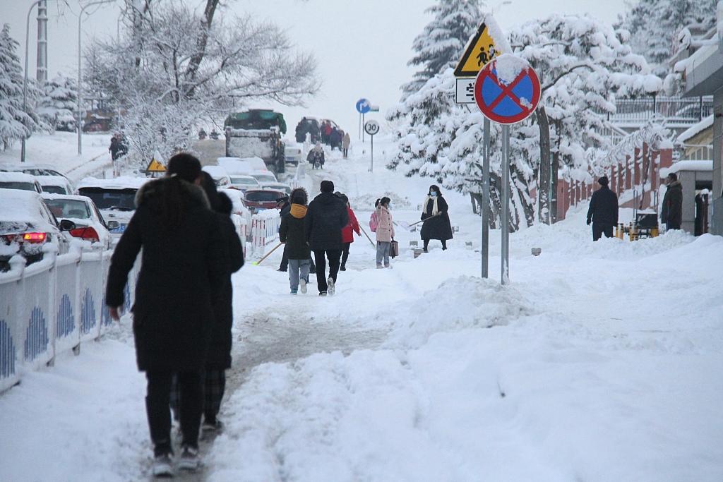 威海05年雪大还是23年雪大?威海每年的天气情况-图2 威海05年雪大还是23年雪大?威海每年的天气情况-图2
