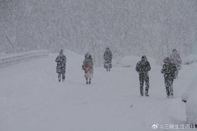 威海05年雪大还是23年雪大?威海每年的天气情况-图3 威海05年雪大还是23年雪大?威海每年的天气情况-图3