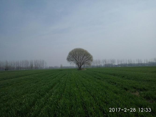 河南新蔡县有多少个乡?河南新蔡的天气情况-图2 河南新蔡县有多少个乡?河南新蔡的天气情况-图2