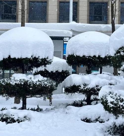 威海乳山近期下大雪了吗?威海乳山半月天气情况-图2 威海乳山近期下大雪了吗?威海乳山半月天气情况-图2