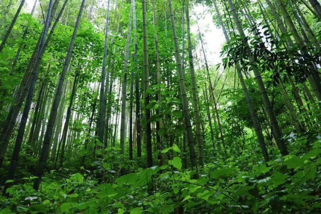 k262经常晚点么？五一假期旬阳天气情况-图2