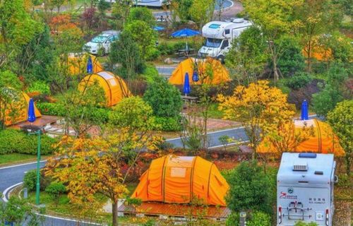 重庆今天天气适合穿什么衣服野餐?今日重庆天气情况图片-图2 重庆今天天气适合穿什么衣服野餐?今日重庆天气情况图片-图2