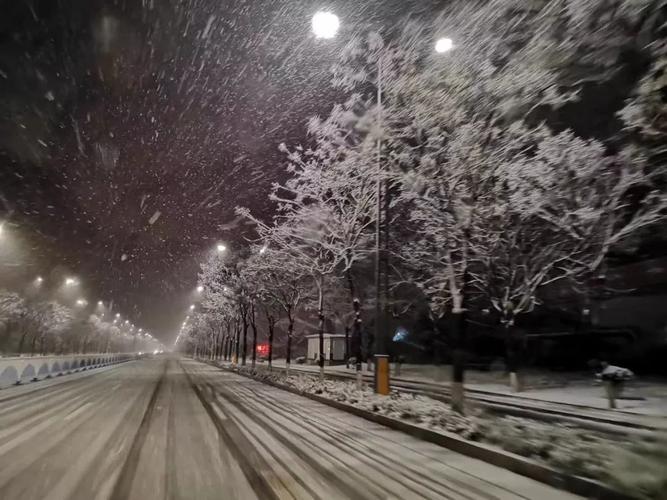临沂的雪化了吗?今年临沂的天气情况-图3 临沂的雪化了吗?今年临沂的天气情况-图3