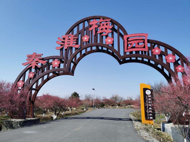 溧水梅花开的时间？溧水明天的天气情况