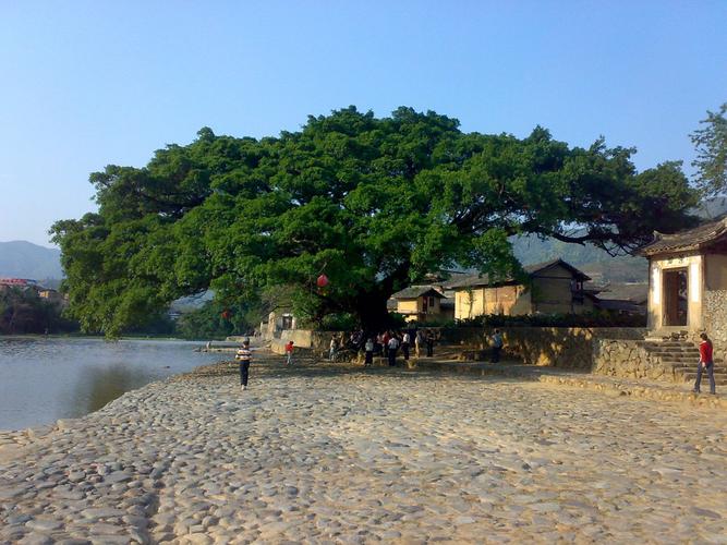 樟树附近哪里有避暑的好地方？樟树下午天气情况