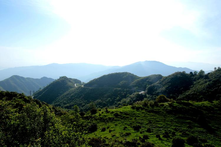 南山牧场天气冷吗?重庆南山近期天气情况-图1 南山牧场天气冷吗?重庆南山近期天气情况-图1