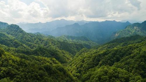 佛坪和太白哪个夏天凉快?今天太白天气情况-图2 佛坪和太白哪个夏天凉快?今天太白天气情况-图2