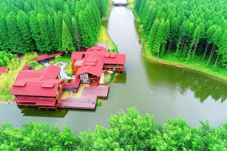 黄海森林公园游玩多久?13号东台天气情况-图2 黄海森林公园游玩多久?13号东台天气情况-图2