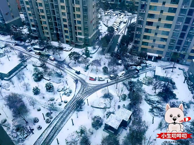 下大雪济宁有雪吗?12月济宁天气情况-图2 下大雪济宁有雪吗?12月济宁天气情况-图2
