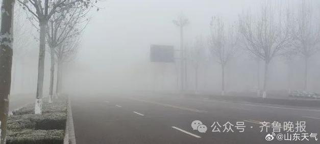 下大雪济宁有雪吗?12月济宁天气情况-图3 下大雪济宁有雪吗?12月济宁天气情况-图3