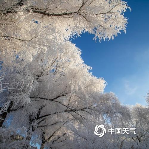 吉林省11月7号雪休吗?吉林6号天气情况-图2 吉林省11月7号雪休吗?吉林6号天气情况-图2