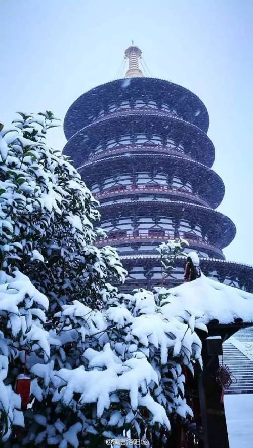 1月份去洛阳旅游合适吗?洛阳半月春节天气情况-图3 1月份去洛阳旅游合适吗?洛阳半月春节天气情况-图3