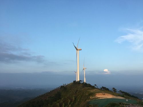 广西横县摘花最佳时间?南宁横县全年天气情况-图2 广西横县摘花最佳时间?南宁横县全年天气情况-图2