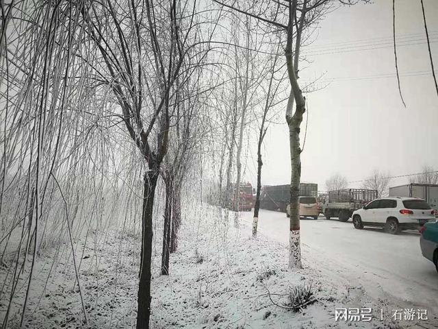 2023年唐山丰润下雪吗?明天的天气情况 丰润-图3 2023年唐山丰润下雪吗?明天的天气情况 丰润-图3