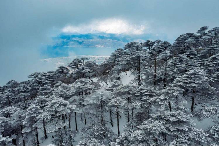 五月份的大理天气怎么样。雨水多吗,冷不冷,要带哪些衣服?5号大理天气情况-图3 五月份的大理天气怎么样。雨水多吗,冷不冷,要带哪些衣服?5号大理天气情况-图3