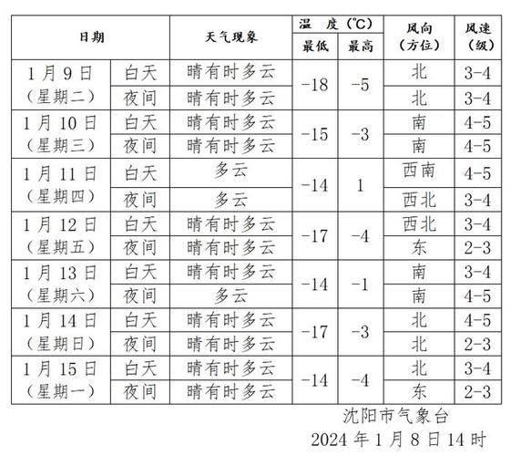 沈阳三九还会冷吗?沈阳铁西的天气情况-图2 沈阳三九还会冷吗?沈阳铁西的天气情况-图2