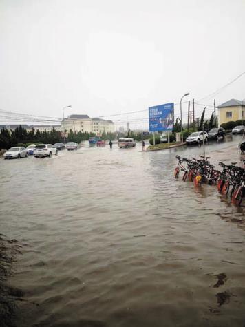旅顺雨大吗?旅顺过去半月天气情况-图3 旅顺雨大吗?旅顺过去半月天气情况-图3