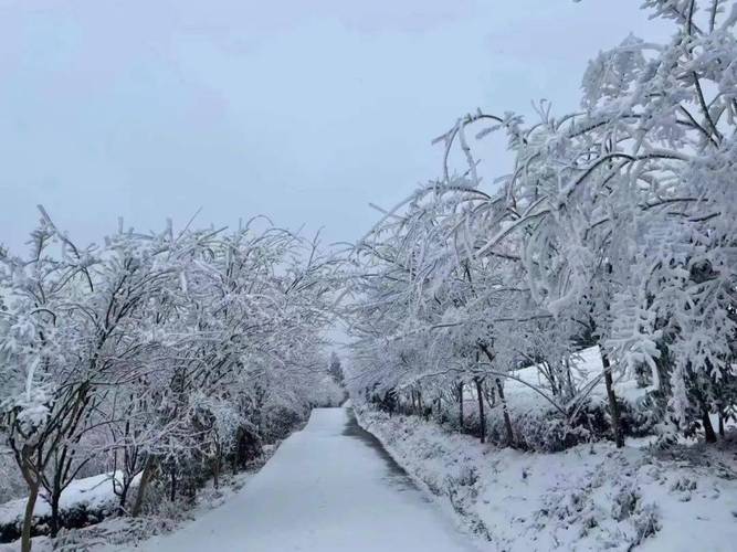 听说揭阳市下雪了,是真的吗?揭阳昨天天气情况-图3 听说揭阳市下雪了,是真的吗?揭阳昨天天气情况-图3