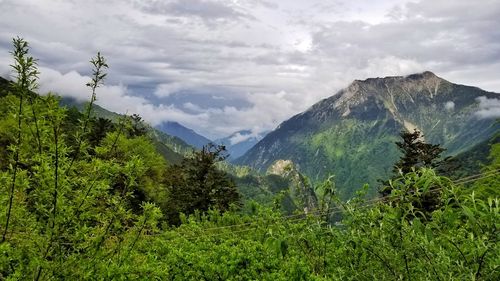 阿坝下雨能去吗？阿坝五一的天气情况