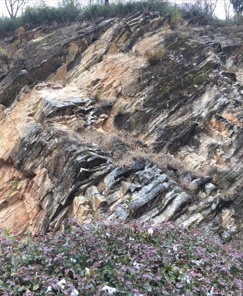 南京到浙江多少公里?上浙江长兴天气情况-图3 南京到浙江多少公里?上浙江长兴天气情况-图3