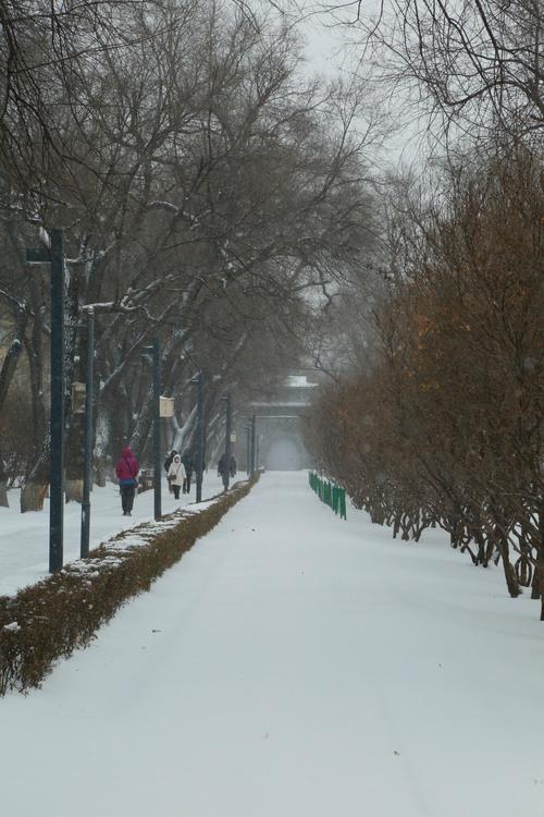 2月下旬哈尔滨会下雪吗?尚志明天的天气情况-图3 2月下旬哈尔滨会下雪吗?尚志明天的天气情况-图3