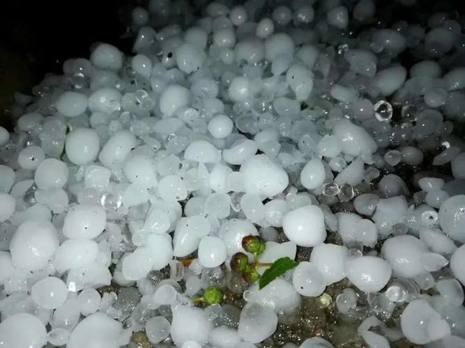 今天山东荣成天气有冰雹吗？荣成明天天气情况
