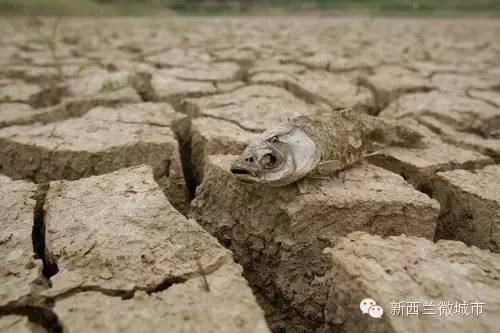 今年宿迁市夏天干旱吗?宿迁今明天气情况-图2 今年宿迁市夏天干旱吗?宿迁今明天气情况-图2