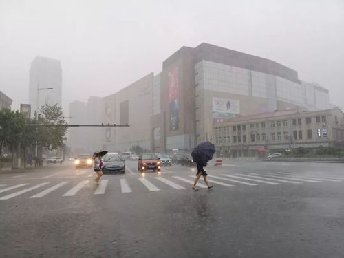天津暴雨天气可以去旅游吗?天津8日天气情况-图2 天津暴雨天气可以去旅游吗?天津8日天气情况-图2