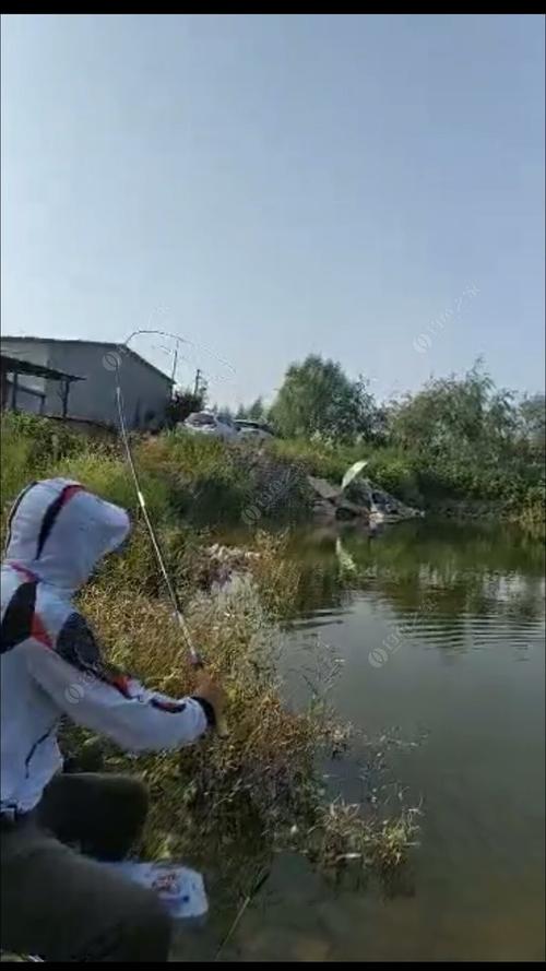 余姚今天天气可以掉鲢鳙吗?余姚今天的天气情况-图2 余姚今天天气可以掉鲢鳙吗?余姚今天的天气情况-图2