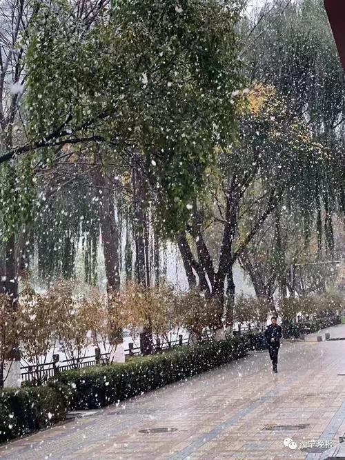 1到3度会不会下雪?三天气情况-图3 1到3度会不会下雪?三天气情况-图3