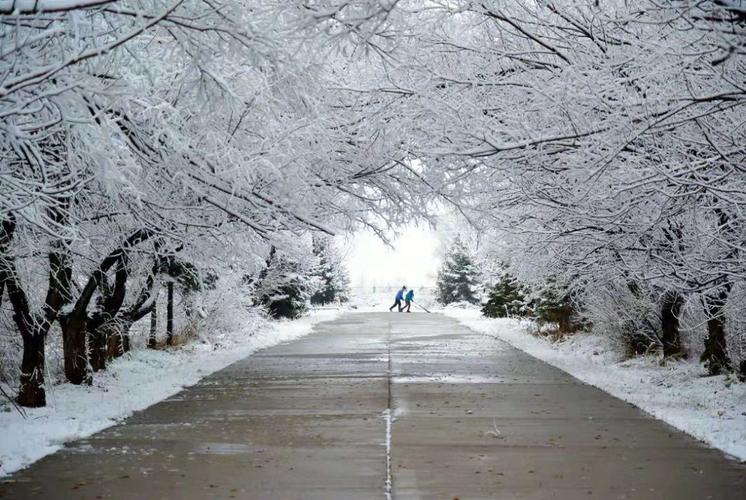 三四月去哈尔滨还能看见雪嘛?4月哈尔滨天气情况-图3 三四月去哈尔滨还能看见雪嘛?4月哈尔滨天气情况-图3