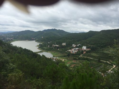 楚雄彝族自治州的气候有什么特点?2014年楚雄天气情况-图1 楚雄彝族自治州的气候有什么特点?2014年楚雄天气情况-图1