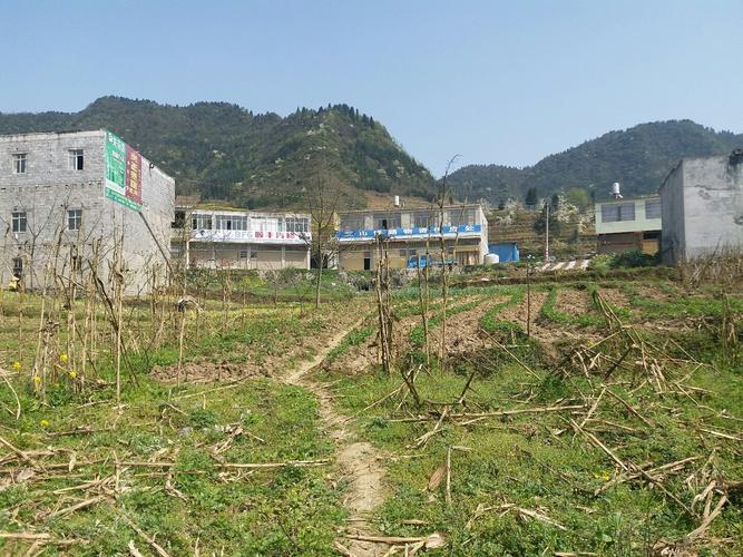 云南省镇雄县海拔的高?镇雄同前天气情况-图3 云南省镇雄县海拔的高?镇雄同前天气情况-图3