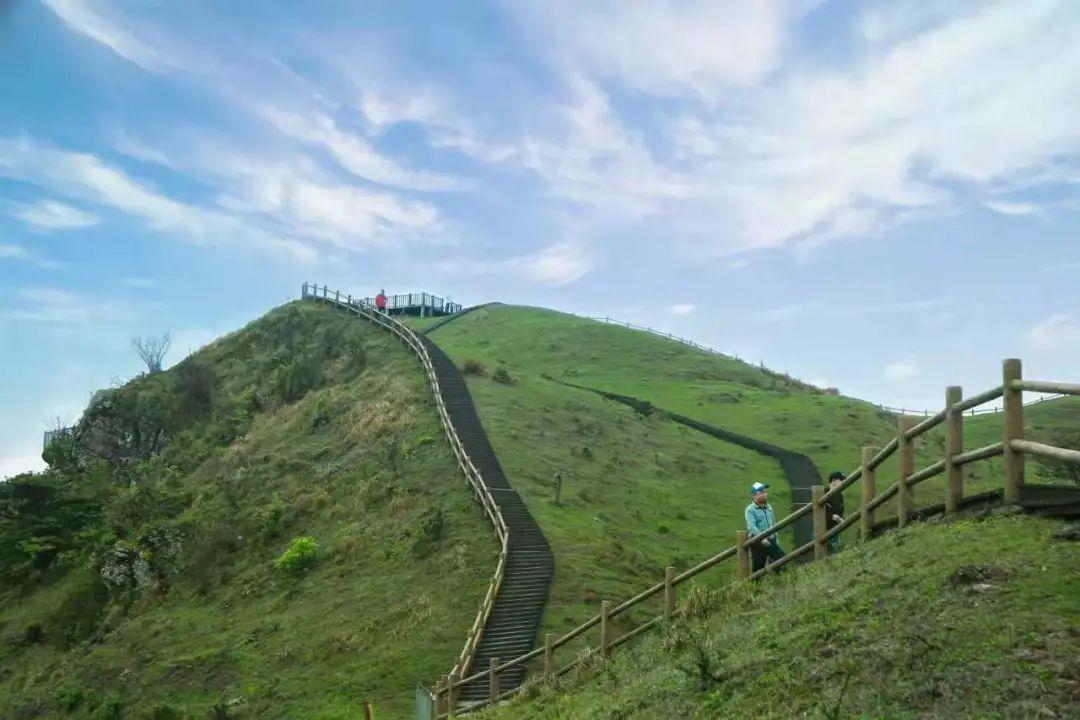 广西肉桂之乡是哪里?岑溪最近的天气情况-图2 广西肉桂之乡是哪里?岑溪最近的天气情况-图2