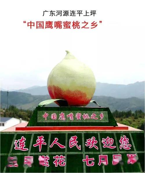 连平鹰嘴桃什么时间开园采摘?河源连平近期天气情况-图2 连平鹰嘴桃什么时间开园采摘?河源连平近期天气情况-图2