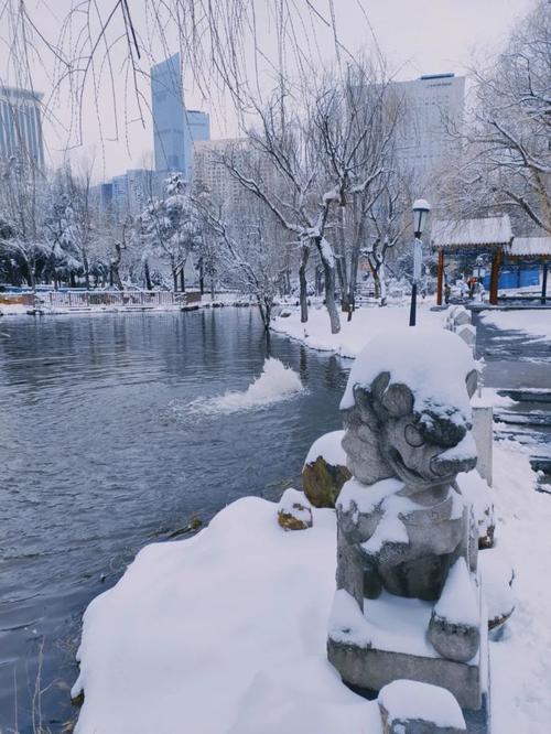 北仑植物园下雪了吗？北仑未来天气情况-图2