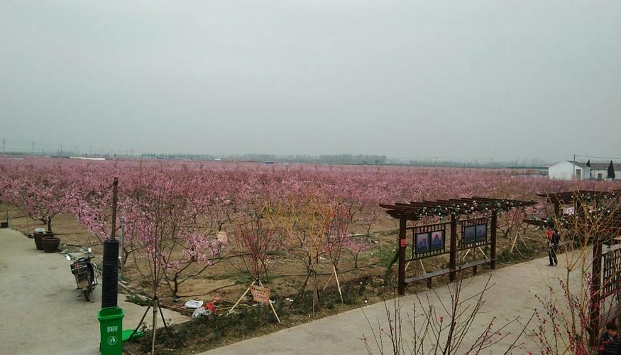 泗洪到无锡要多长时间?-紧急需要?4月泗洪天气情况-图2 泗洪到无锡要多长时间?-紧急需要?4月泗洪天气情况-图2