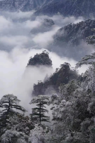 湖南莽山天气3到5度会下雪吗？郴州莽山天气情况