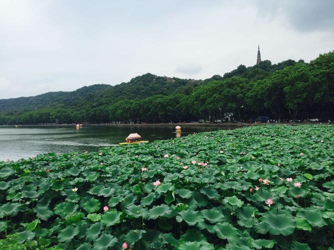 西湖淹了吗?西湖明天什么天气情况-图3 西湖淹了吗?西湖明天什么天气情况-图3