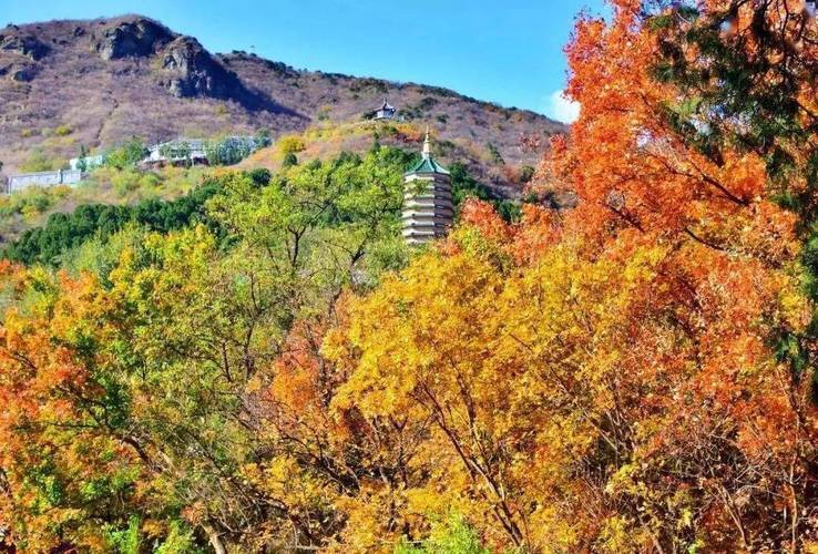 北京郊区观赏红叶的好去处?今天石景山天气情况-图2 北京郊区观赏红叶的好去处?今天石景山天气情况-图2