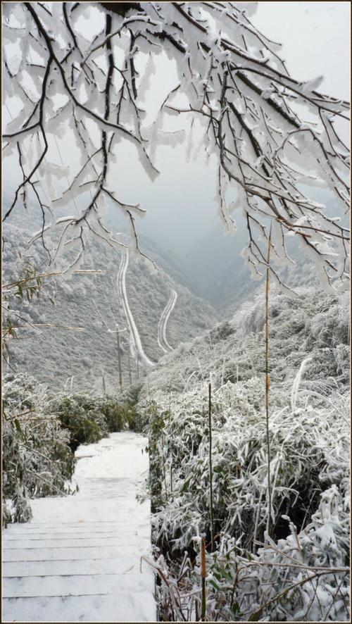 娄山关下雪了吗?贵州娄山天气情况-图3 娄山关下雪了吗?贵州娄山天气情况-图3