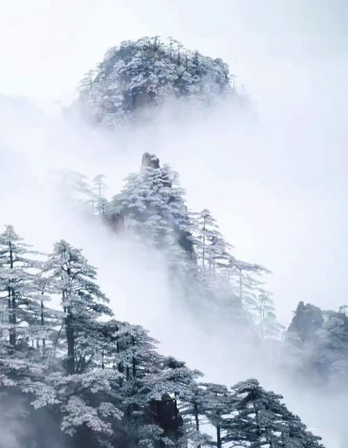 2024黄山1月份会下雪吗？安徽黄山近期天气情况